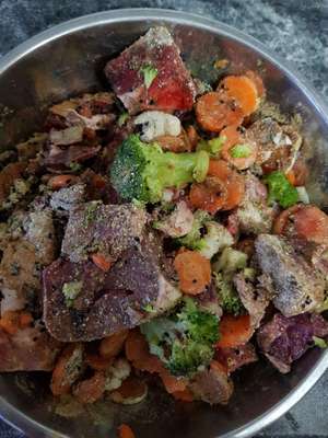 Zeigt eure Näpfe-Beitrag-Bild