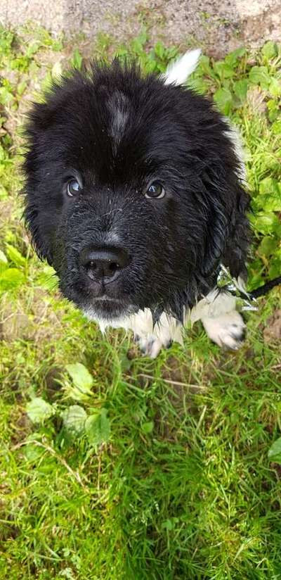 Ratespaß geht weiter-Beitrag-Bild