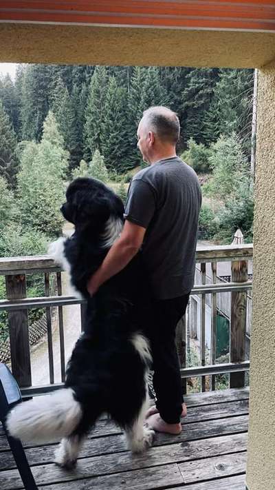 Hunde früher und heute-Beitrag-Bild