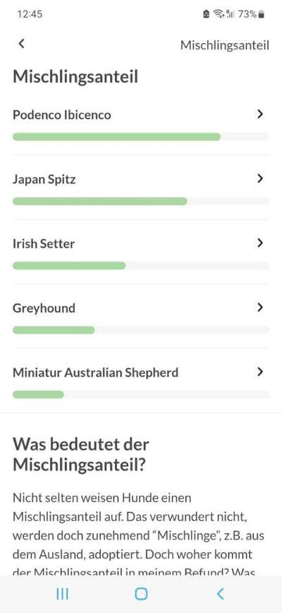 Hilfe bei der Rassebestimmung-Beitrag-Bild