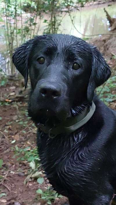 Theos  Fotochallenge Nummer 2-Beitrag-Bild