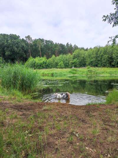 Was hat euch heute gefreut?-Beitrag-Bild