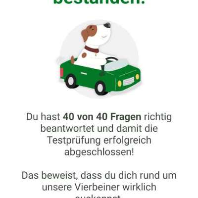 Was hat euch heute gefreut?-Beitrag-Bild