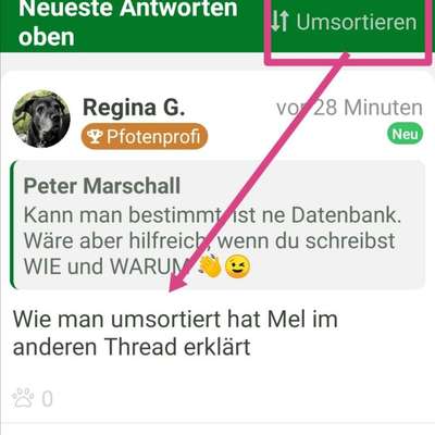 Was hat euch heute gefreut?-Beitrag-Bild