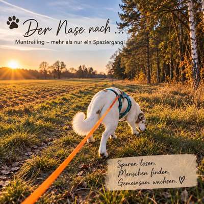 Hundetreffen-🔎 Trailing-Partner gesucht – Fürstenwalde & max. 20 km Umkreis 🐾-Bild