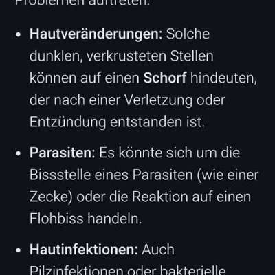 Hautveränderung entdeckt-Beitrag-Bild