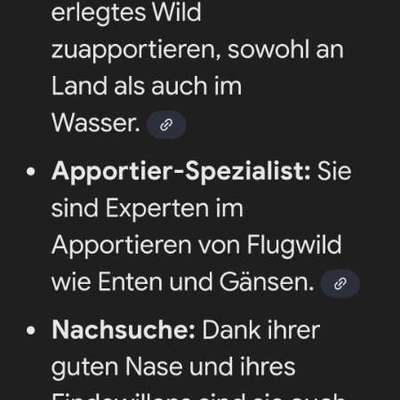 Mit oder ohne Leine?-Beitrag-Bild