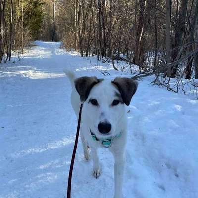 Was hat euch heute gefreut?-Beitrag-Bild