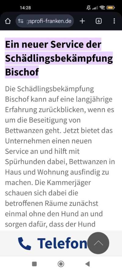 Bettwanzen-Spürhundetraining-Beitrag-Bild
