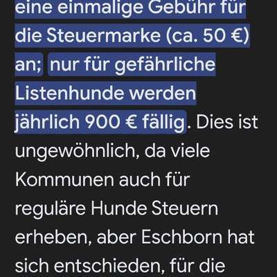 🐶💸 Hundesteuer steigt vielerorts – ist das gerechtfertigt?!-Beitrag-Bild