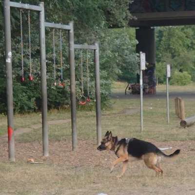 Giftköder-Infos f.Ordnungsamt gesucht (Luna)-Bild