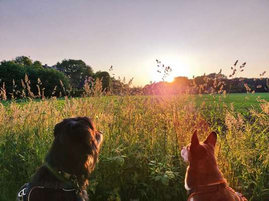 Theos  Fotochallenge Nummer 2-Beitrag-Bild