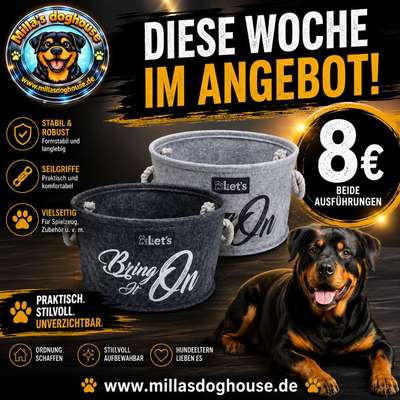 %{de_profession_title}-Spielzeugkorb-Bild