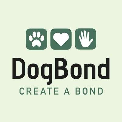 Hundeschulen-Hundeschule DogBond-Bild