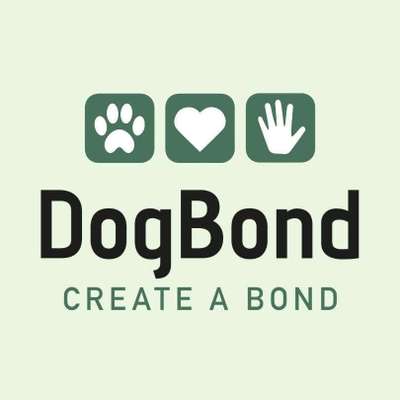 Hundeschulen-Hundeschule DogBond - create a bond-Bild