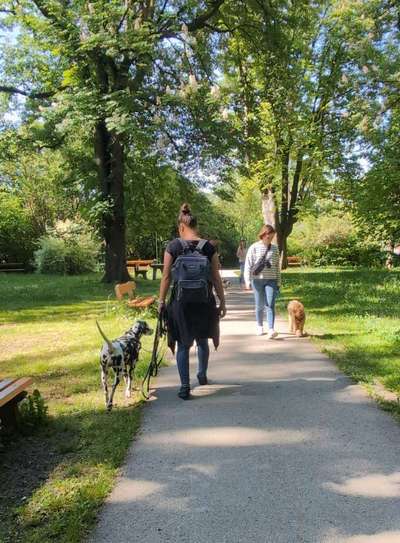 Giftköder-Begegnungstraining und Social-Walks-Bild