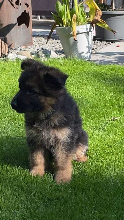 Fotochallange Nummer 5-Beitrag-Bild