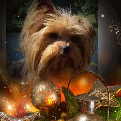 Marlene's Profilbild