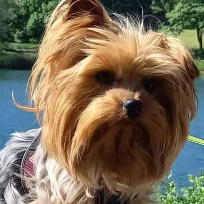 Marlene's Profilbild