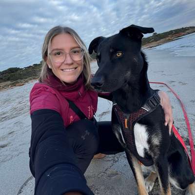 Hundetreffen-Social Walk in kleiner Gruppe-Profilbild