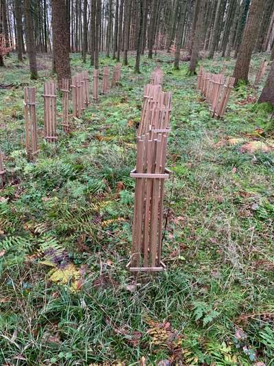 Ist Treibjagd noch zeitgemäß und mit "Hundeliebe" vereinbar?-Beitrag-Bild