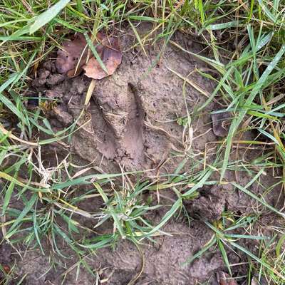 "Wege zur Freundschaft" (Ulli Reichmann)-Beitrag-Bild