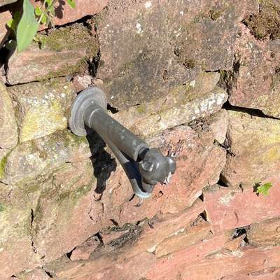 Der perfekte Hundegarten-Beitrag-Bild