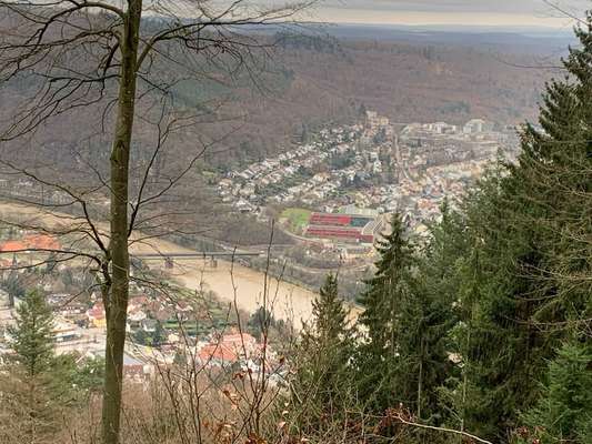 Was hat euch heute gefreut?-Beitrag-Bild