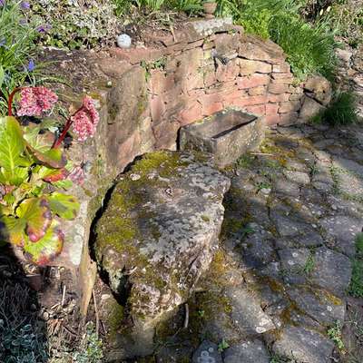 Der perfekte Hundegarten-Beitrag-Bild