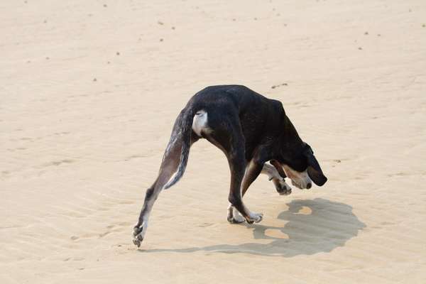 "Wege zur Freundschaft" (Ulli Reichmann)-Beitrag-Bild