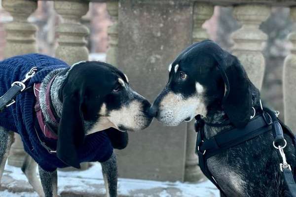 Was hat euch heute gefreut?-Beitrag-Bild