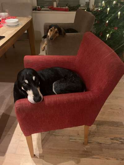 Was hat euch heute gefreut?-Beitrag-Bild