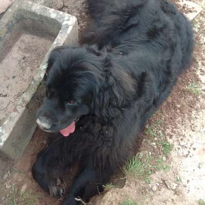 "Wege zur Freundschaft" (Ulli Reichmann)-Beitrag-Bild