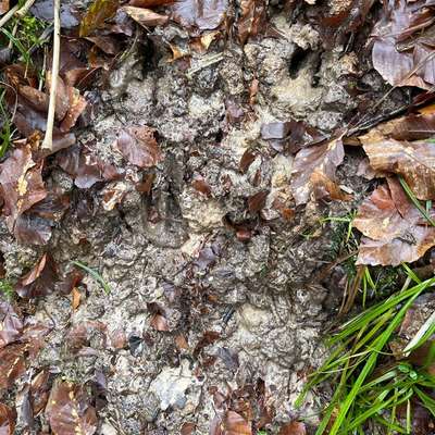 "Wege zur Freundschaft" (Ulli Reichmann)-Beitrag-Bild