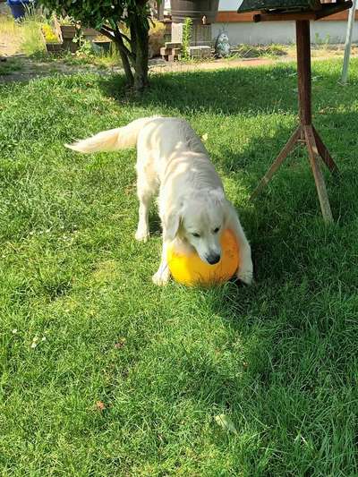 138. Fotochallenge 

(M)Ein Ball und ich-Beitrag-Bild