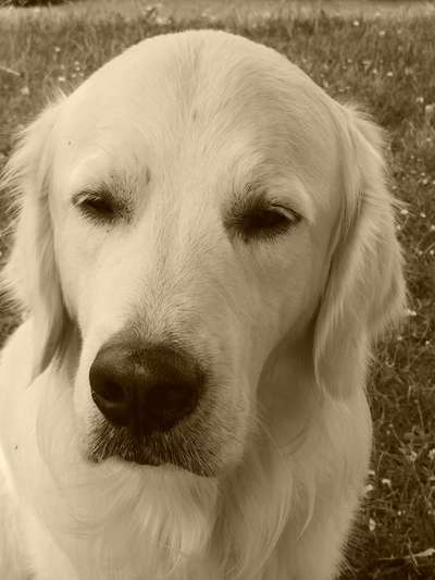 FarbenFoto - Challenge: Sepia-Beitrag-Bild