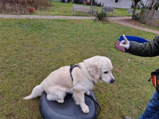 Zeige deinen Schatz mit seinem Lieblingsspielzeug.-Beitrag-Bild