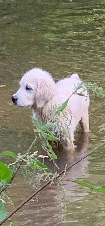 35. Handy Foto Challenge - Das nasse Element-Beitrag-Bild