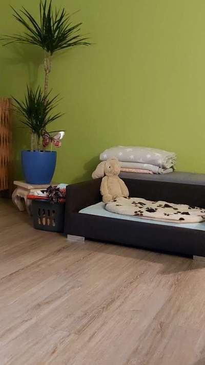 Zeig mir, dass du mit einem hund zusammenlebst....-Beitrag-Bild