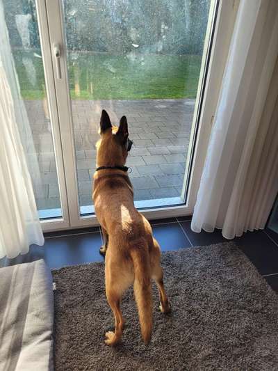 120. Fotochallenge-Beitrag-Bild