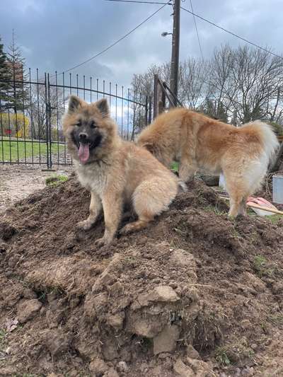 Fotochallenge 129-Beitrag-Bild