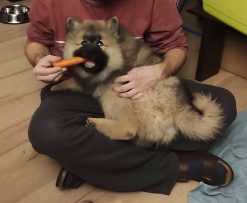 Lustige Grimassen & verrückte Posen-Beitrag-Bild