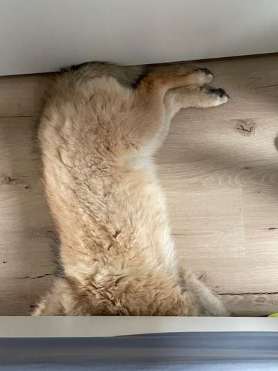 Ton in Ton-Beitrag-Bild