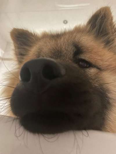 42. Handy Fotochallenge - Den richtigen Riecher haben-Beitrag-Bild