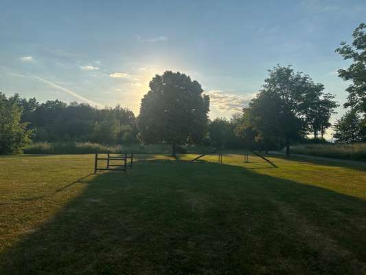 Hundeauslaufgebiet-Hennef-Bild