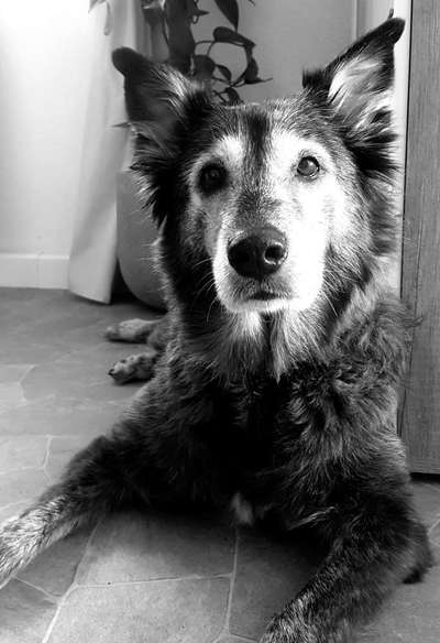 Fotochallange Nr. 57     PORTRÄT.   Beendet!!!!!!!!-Beitrag-Bild