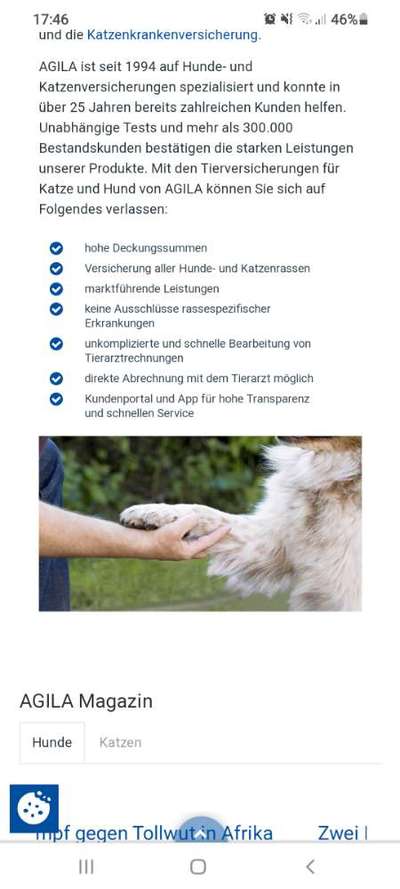 Gute Hundekrankenversicherung + Haftpflicht-Beitrag-Bild