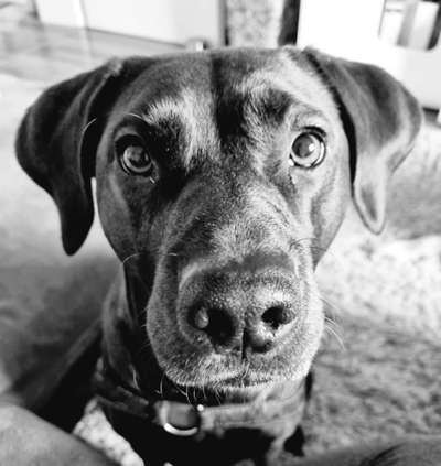 Fotochallange Nr. 57     PORTRÄT.   Beendet!!!!!!!!-Beitrag-Bild