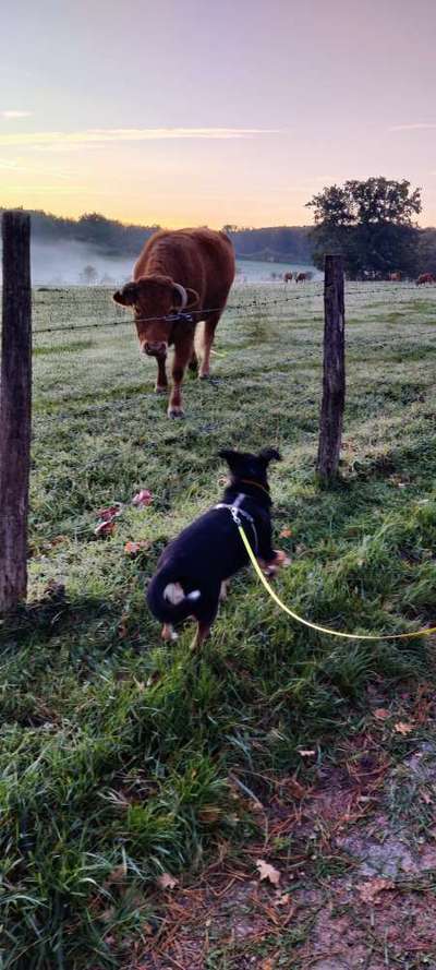 17. Handyfoto – Challenge-Beitrag-Bild