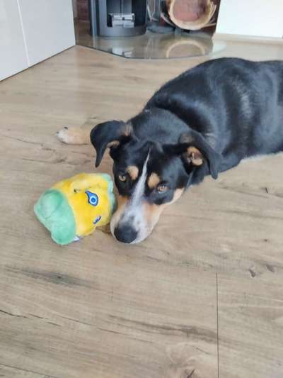 Handy-Foto Challange Nr. 10-Beitrag-Bild